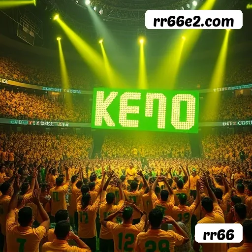 rr66 Salvador - Statistics